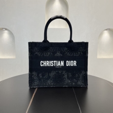 Christian Dior Shopping Bags